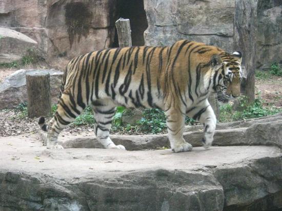 Zoo de Canton